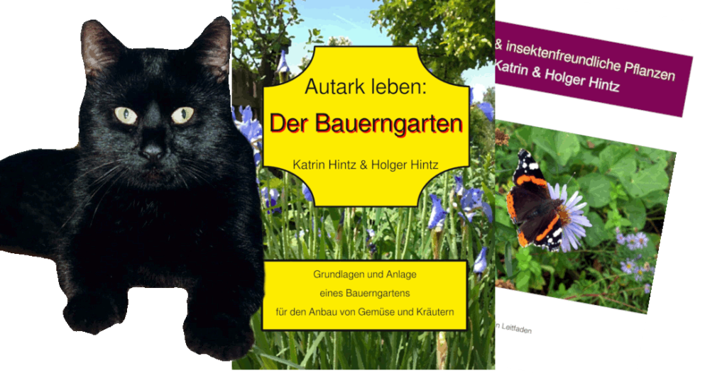Der Gourmetkater mit Buchcovern