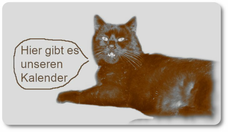 Schwarzer Kater sagt: Hier gibt es unseren Kalender