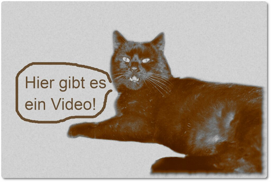 Schwarzer Kater sagt: Hier gibt es ein Video!