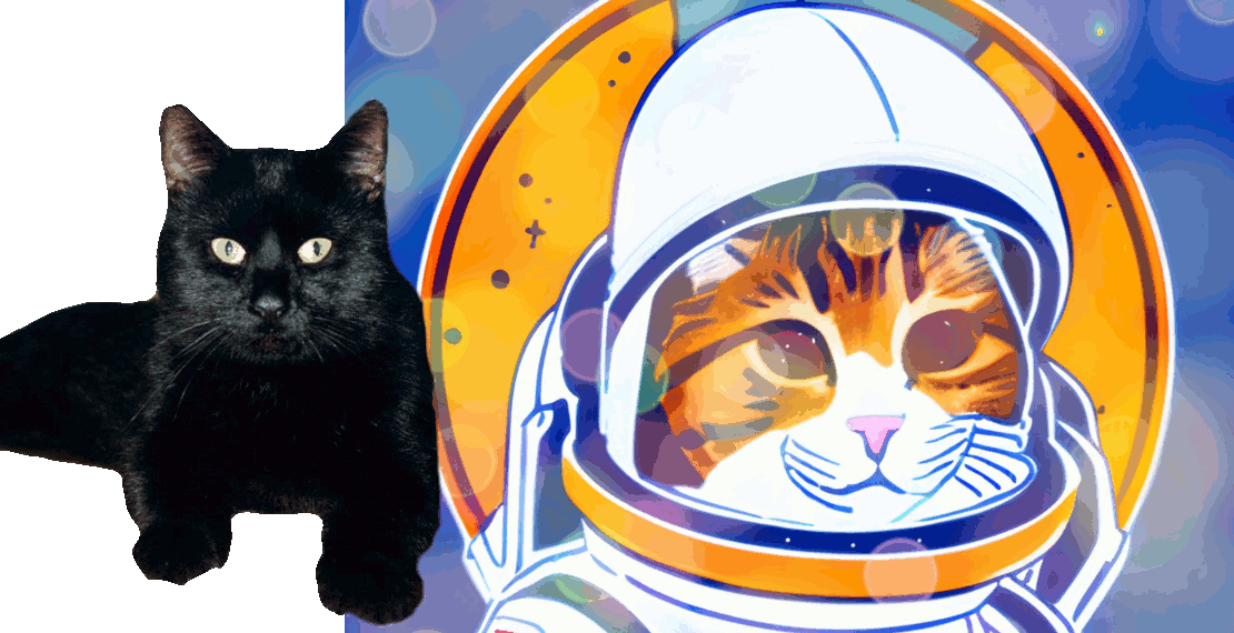 Der Gourmetkater, daneben Bild von einer Ratze im Raumanzug